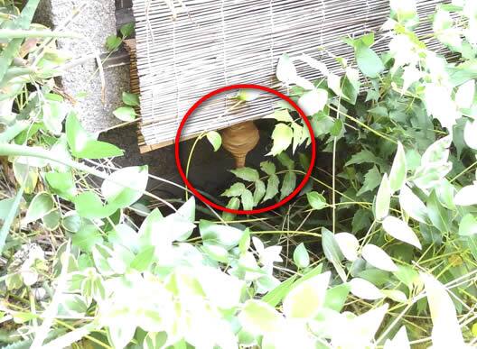 スズメバチ駆除すだれ